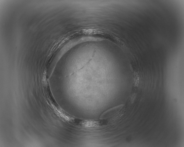 X0000086000670200703231146