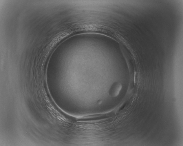 X0000086000673200703231146