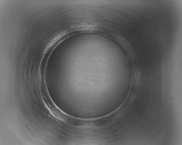 X0000086000674200703231146