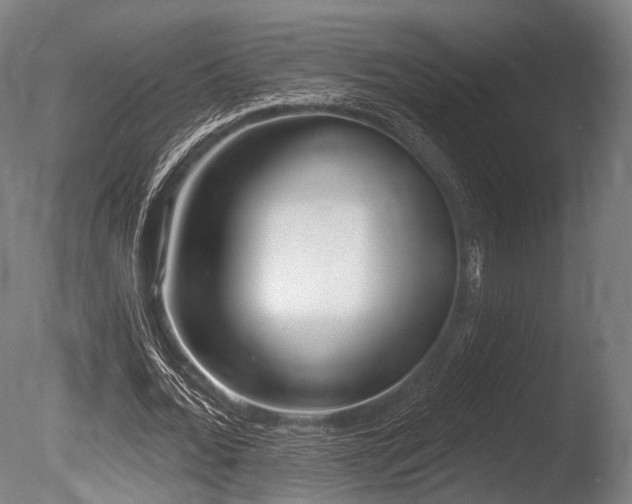 X0000086000676200703231146