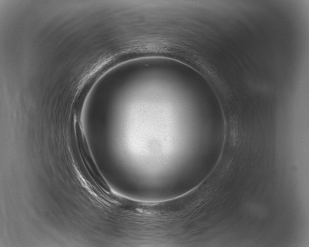 X0000086000677200703231146