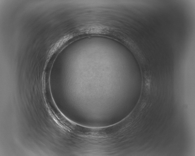 X0000086000678200703231146