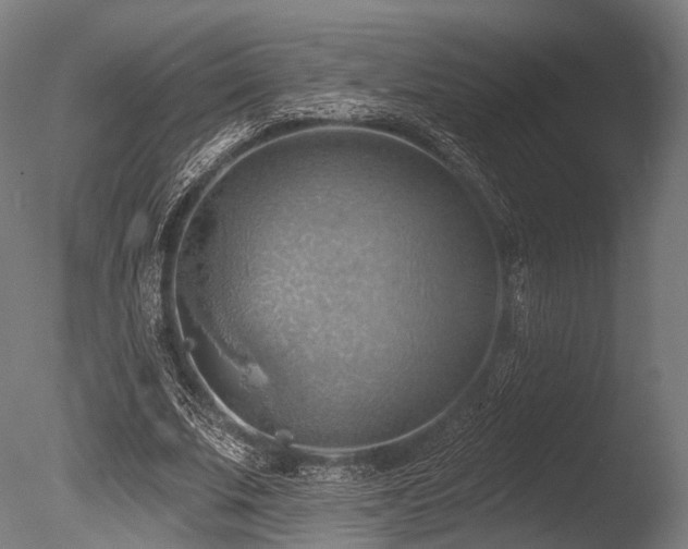 X0000086000679200703231146