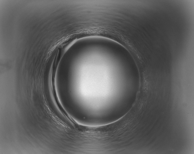 X0000086000681200703231146