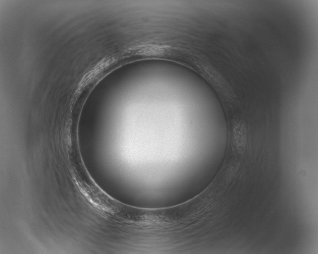 X0000086000682200703231146