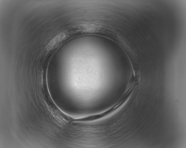 X0000086000685200703231145