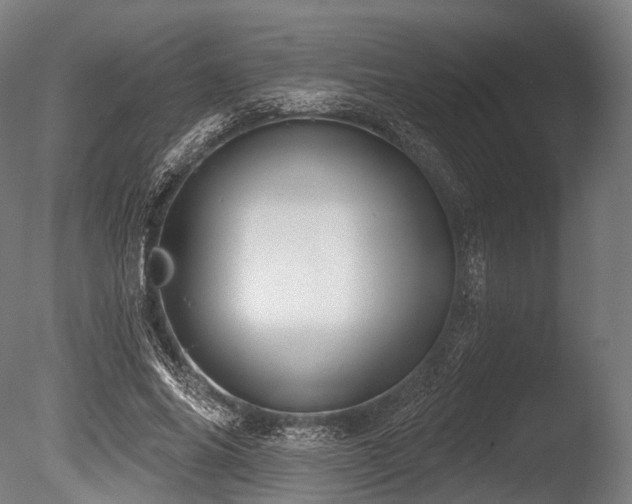 X0000086000686200703231145