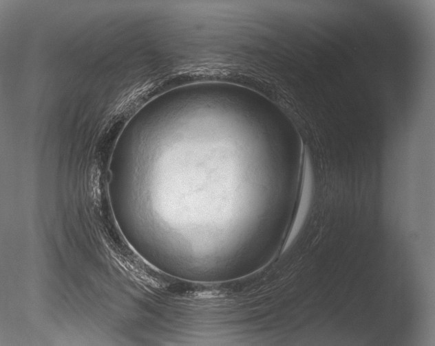 X0000086000692200703231145