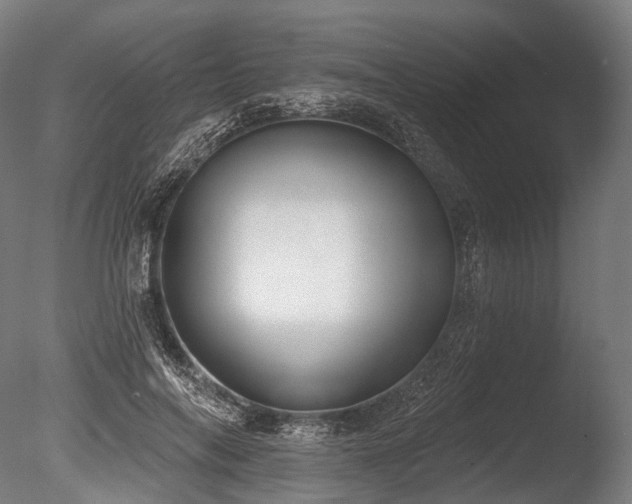X0000086000694200703231145