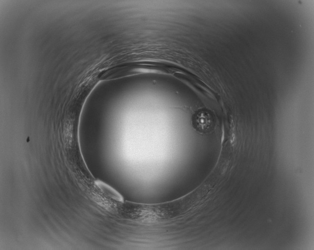 X0000086000697200703231145