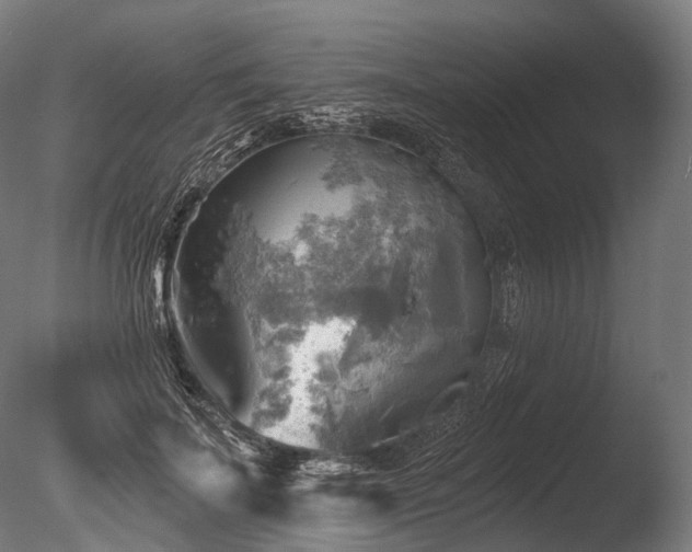 X0000086000699200703231145