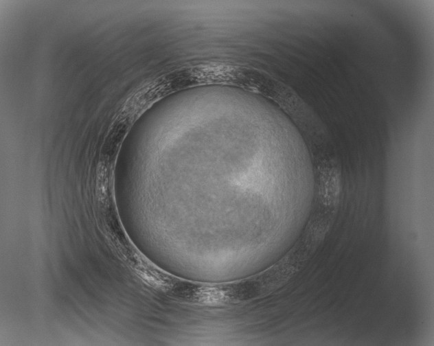 X0000086000701200703231145