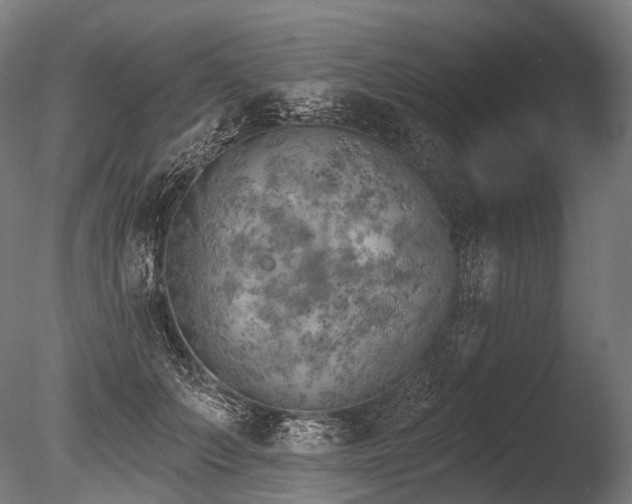X0000086000703200703231145