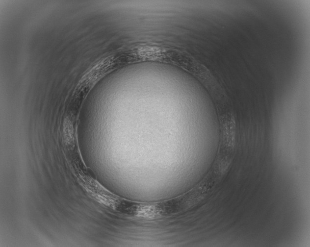 X0000086000705200703231145