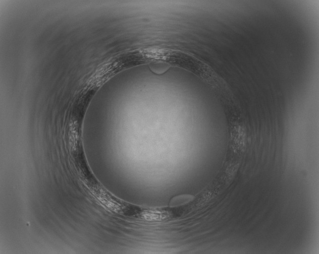 X0000086000707200703231145