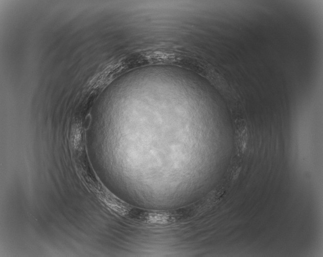 X0000086000709200703231145