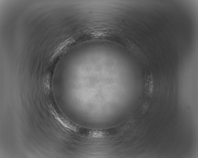 X0000086000710200703231145