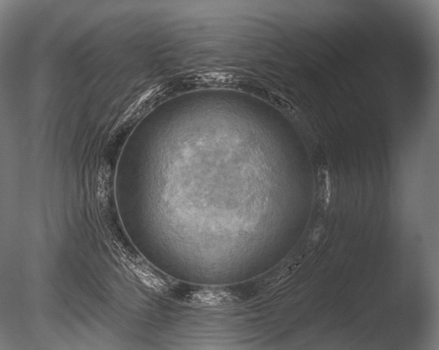 X0000086000712200703231145