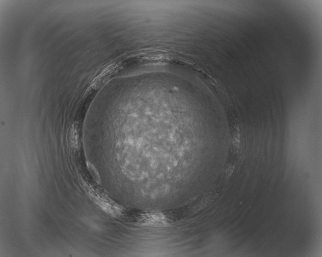 X0000086000715200703231145