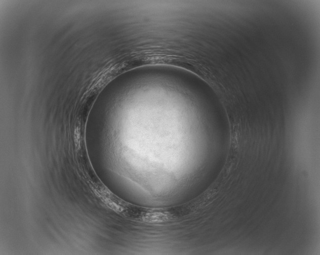 X0000086000716200703231145