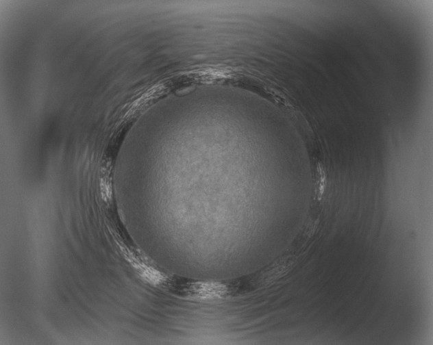 X0000086000719200703231145