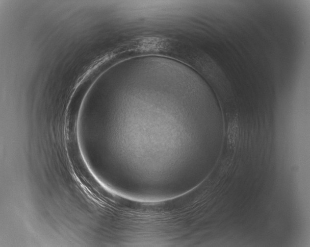 X0000086000722200703231144