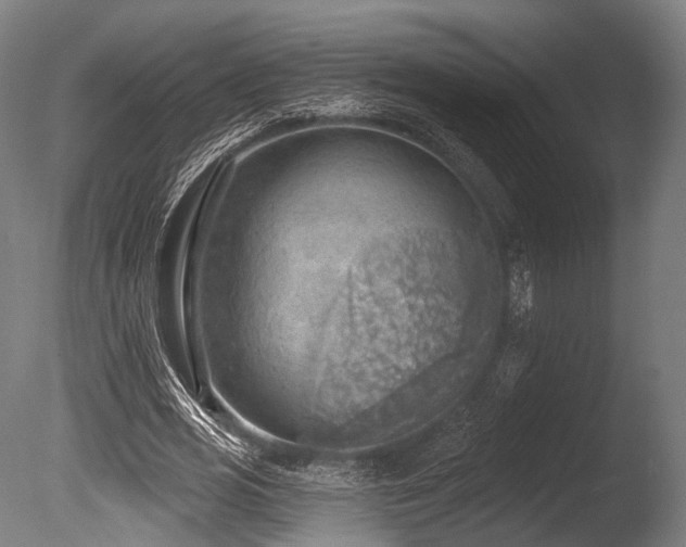 X0000086000725200703231144