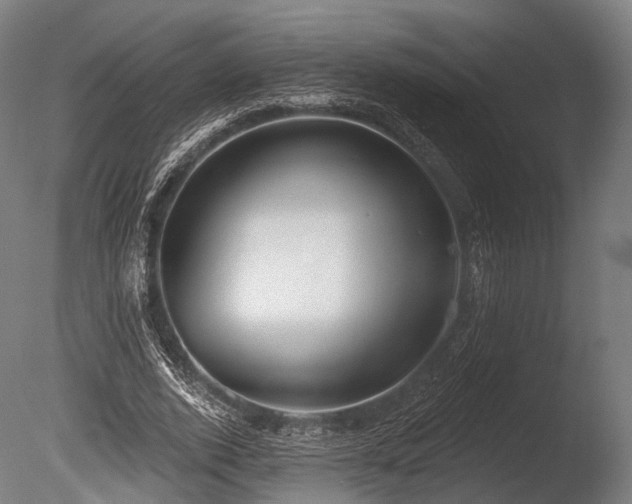 X0000086000728200703231144