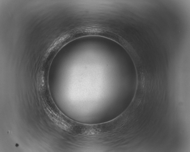 X0000086000731200703231144