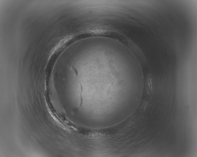 X0000086000734200703231144