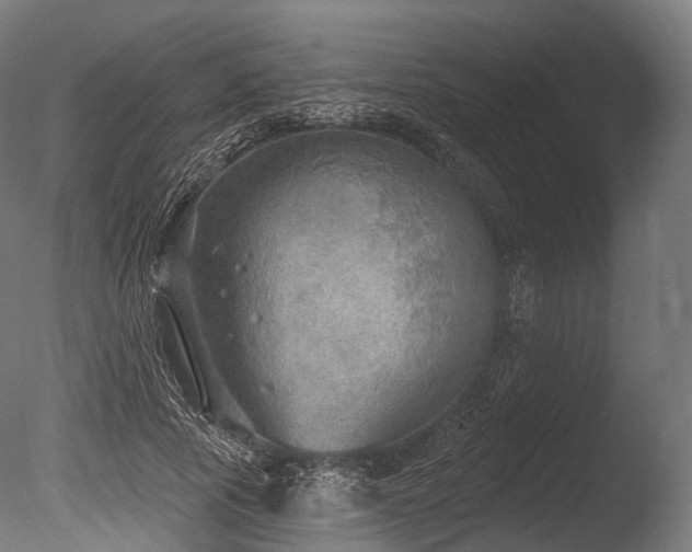 X0000086000737200703231144