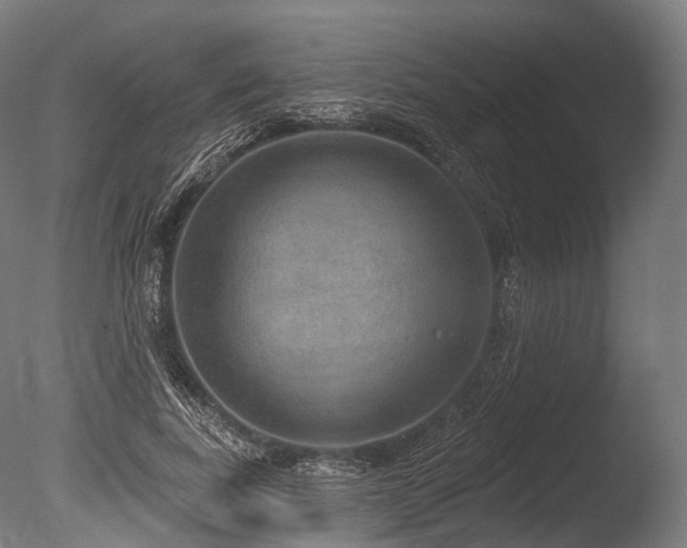 X0000086000739200703231144