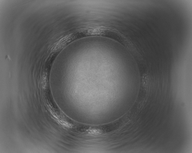 X0000086000741200703231144