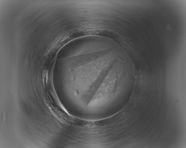 X0000086000742200703231144