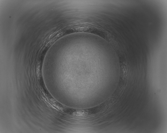 X0000086000745200703231144