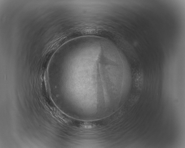 X0000086000746200703231144
