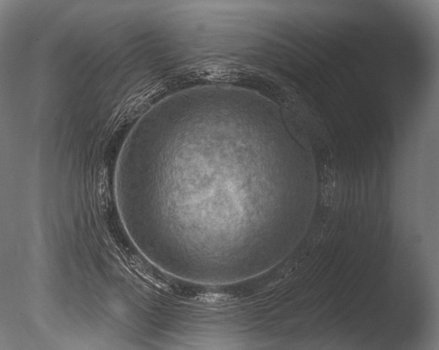 X0000086000748200703231145