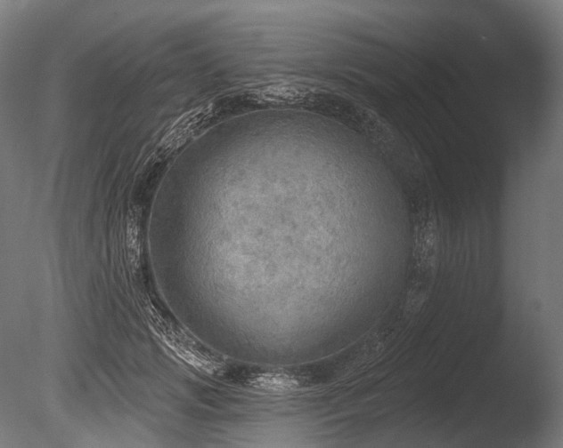 X0000086000749200703231145