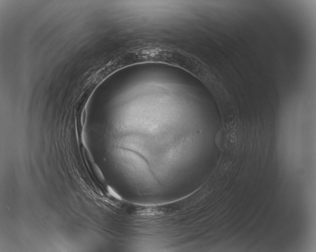 X0000086000754200703231145