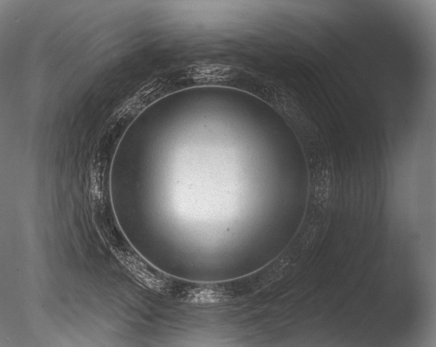 X0000086000755200703231145