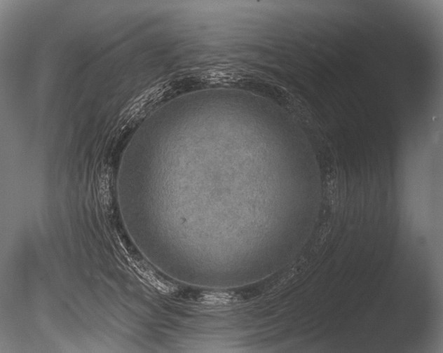 X0000086000757200703231145