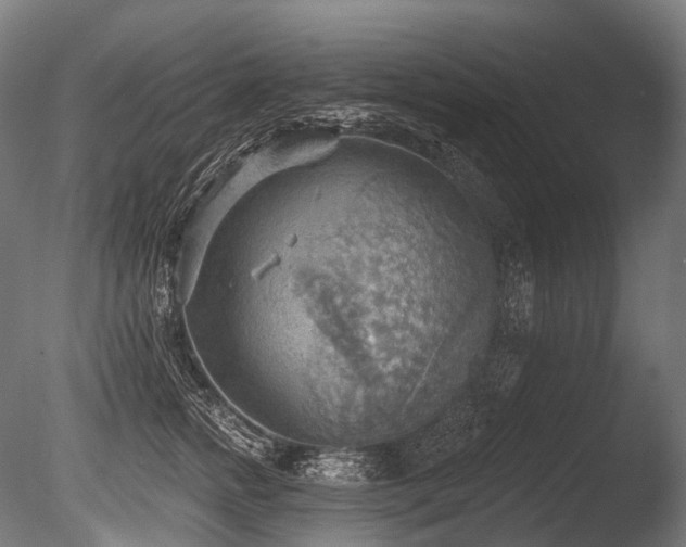X0000086000758200703231145