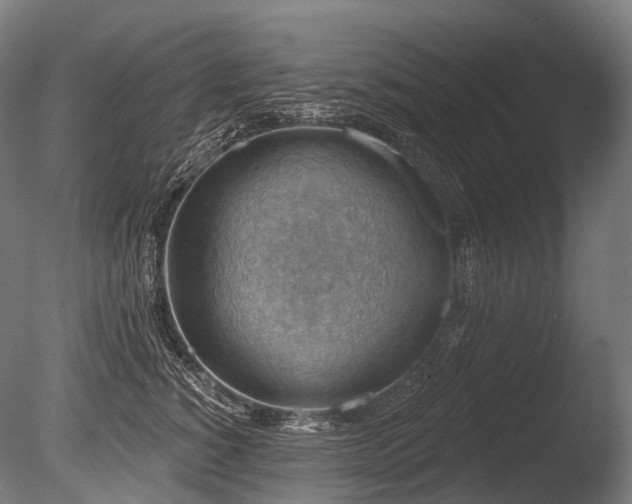 X0000086000760200703231145