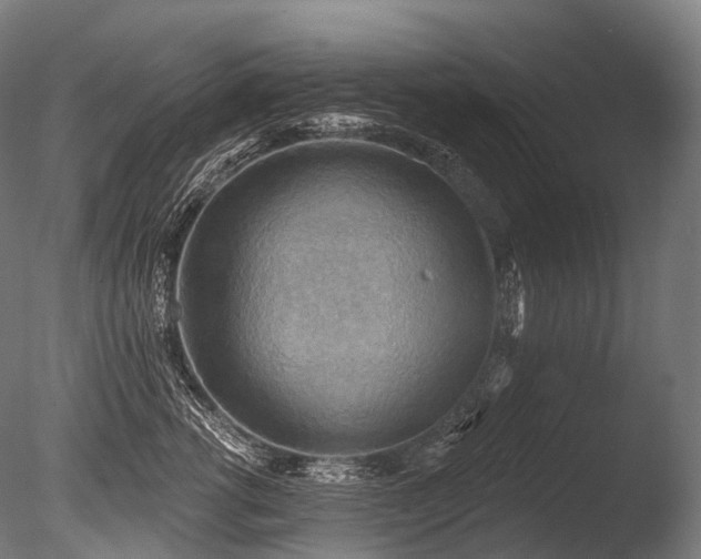 X0000086000762200703231145