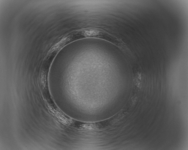 X0000086000763200703231145