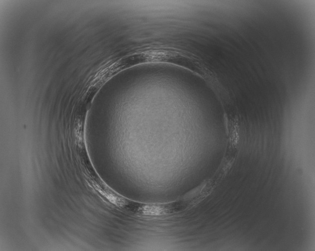 X0000086000766200703231145