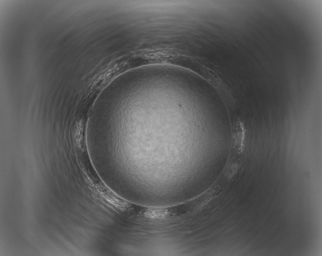 X0000086000767200703231145