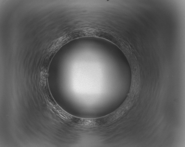 X0000086000768200703231145