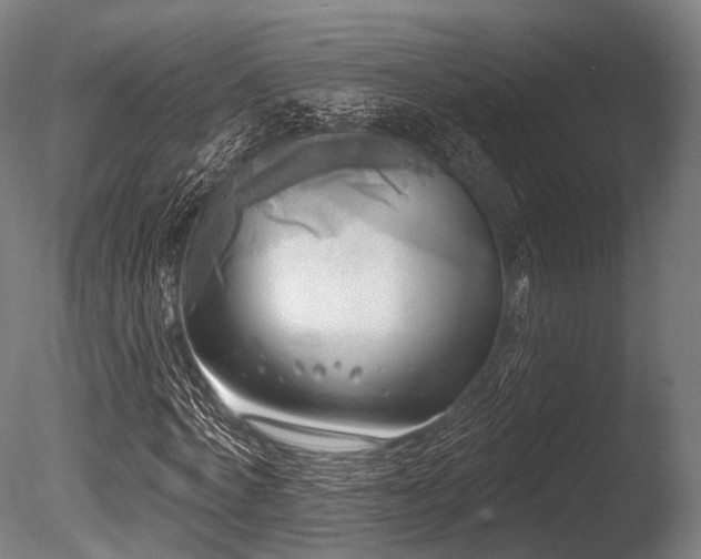 X0000086000772200703231144