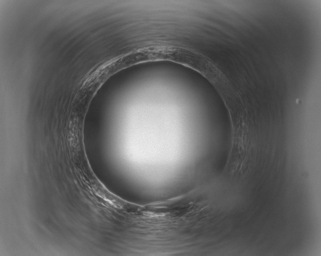 X0000086000773200703231144